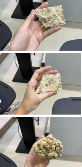 <p>what is the name of this rock?<br>what kind of rock is this?</p><p>what is its texture?</p>