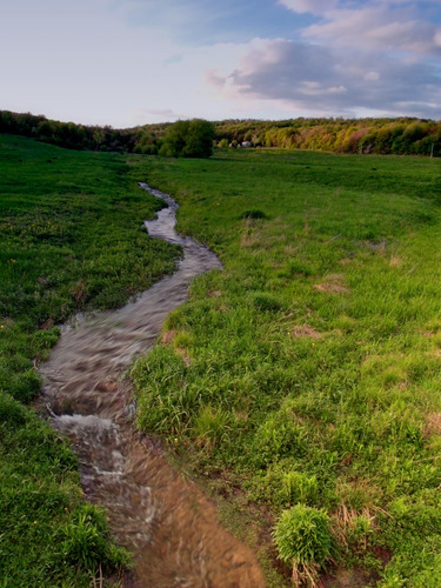<p>small streams that flow down a mountain and collect together to begin a river</p>