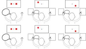 <p>Based on image 1 (upper left) what will the patient verbally report &amp; why? What will they write with their left hand &amp; why? With their right hand &amp; why?</p>