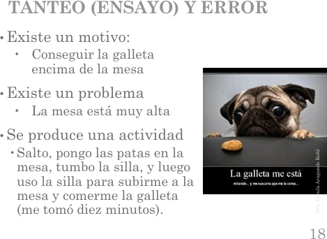 <p>Ejemplo de tanteo ensayo y error</p>