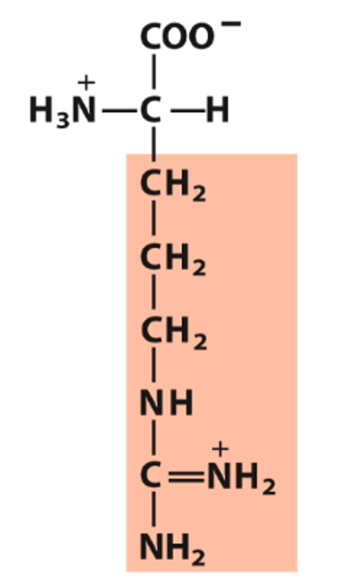 <p>What amino acid is this?</p>