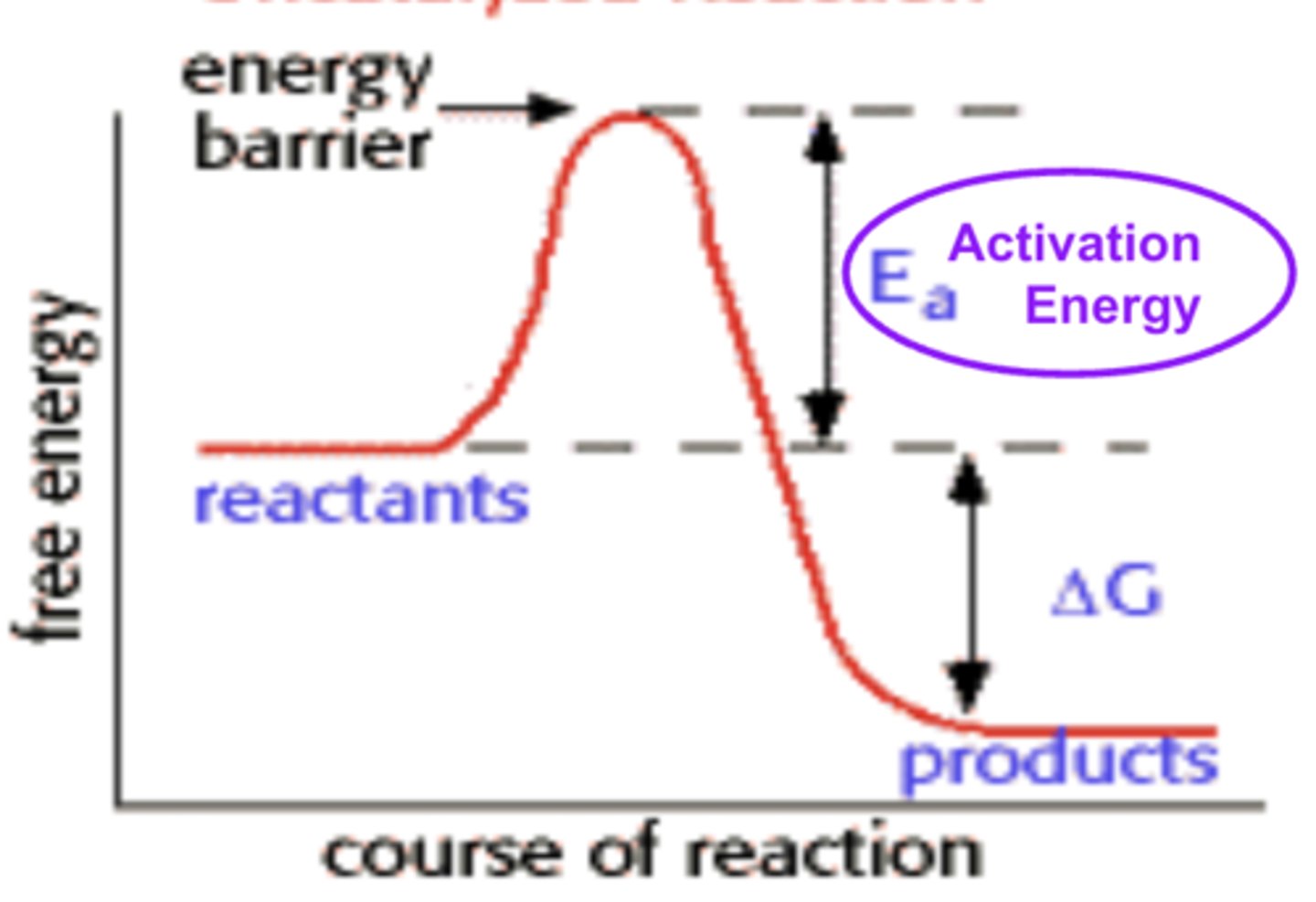<p>the minimum amount of energy that must be provided to break covalent bonds in reactants so that a chemical reaction occurs.</p>