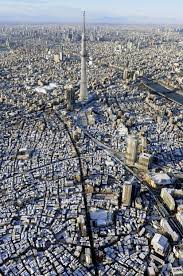 <p>a city with over 10 million people; e.g., Tokyo</p>