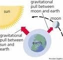 the regular rise and fall of the ocean's surface influenced by the moon's gravity pulling on earth