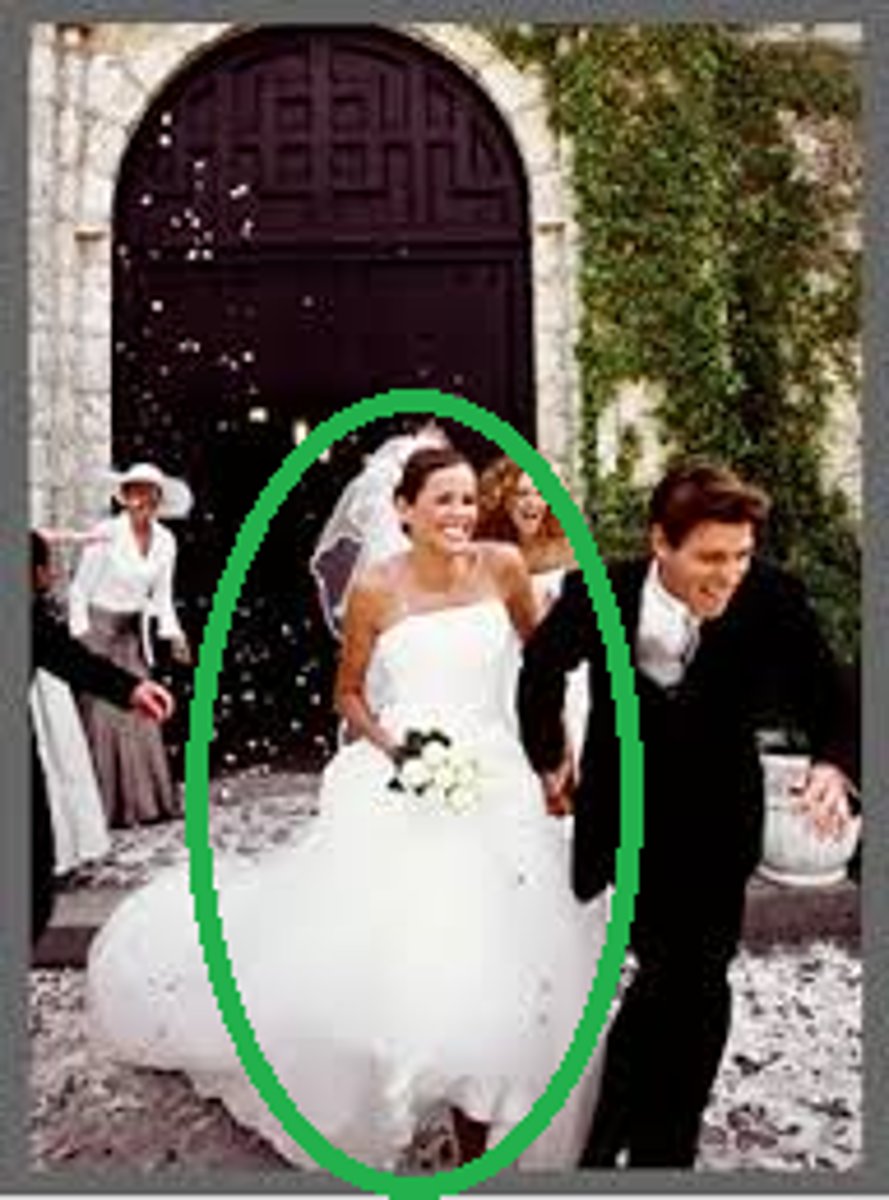 <p>a wife</p>
