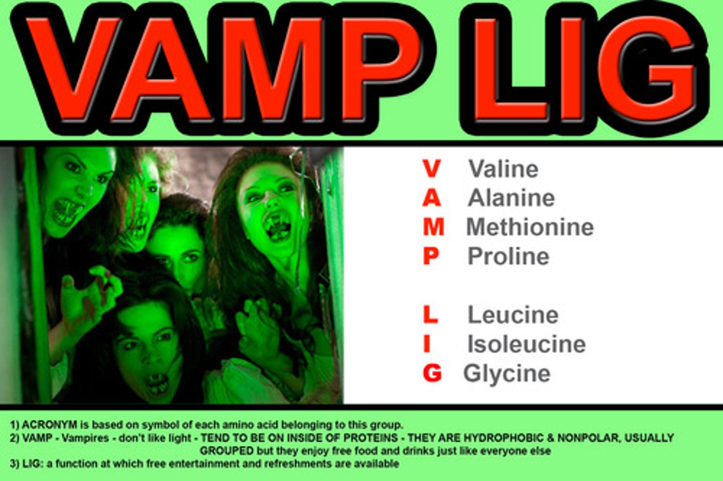 <p>List the nonpolar aliphatic r-groups</p><p>VAMP LIG</p>