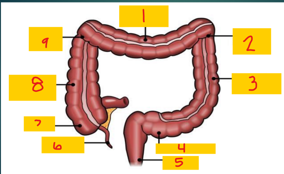 <p>5</p>