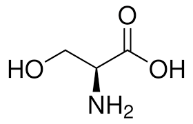 <p>Serine structure: </p>
