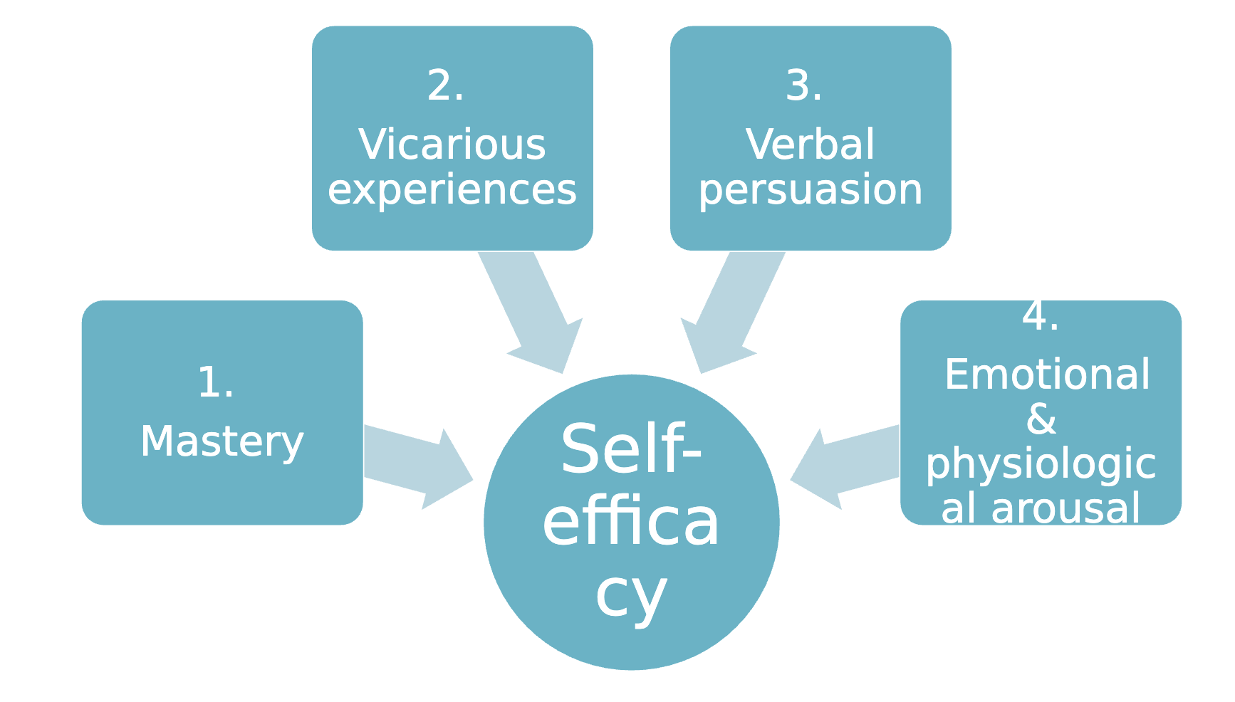 <p>Mastery: direct, successful experiences at a task</p><p></p><p>Vicarious experiences: observing others who are similar succeed at similar tasks</p><p></p><p>Verbal Persuasion: encouragement from others ie. positive feedback or words of confidence</p><p></p><p>Emotional &amp; physiological arousal: the physical and emotional states experienced when performing a task</p><p>ie. stress, anxiety, joy, enthusiasm</p><p></p>