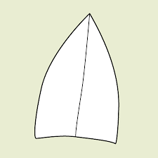 <p>Leaf apex?</p>