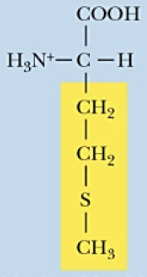 <p>Name (Abbr.) - polarity, a/n/b</p>