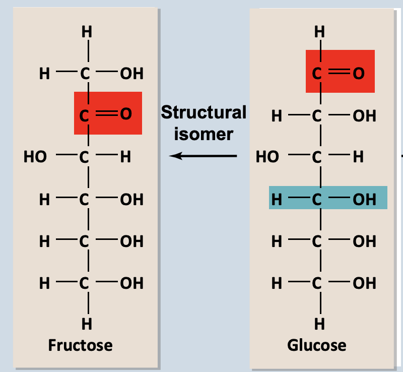 <p>Structural Isomers</p>