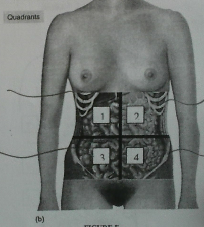<p>Name quadrant 3</p>