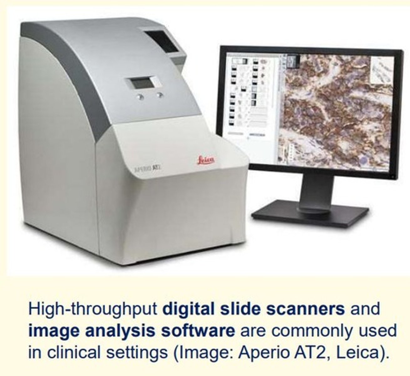 <p>High-throughout digital slide scanners and image analysis softwares commonly used in clinical settings</p><p>- Aperio AT2</p><p>- Leica </p>