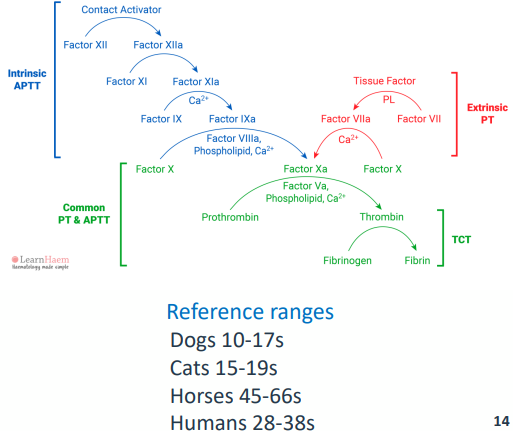 <p>• Activated partial thromboplastin time</p><p>• Blood collected into an anticoagulant called citrate (to chelate calcium)</p><p>• Plasma prepared by centrifugation</p><p>• Initiate coagulation (Kaolin or silica(charge activator) + calcium)</p><p>• Measure time to form a fibrin clot</p><p></p><p>• Appropriate reference plasma needed (same species, at least 8 animals)</p><p>• Testing for deficiencies in the intrinsic pathway</p>