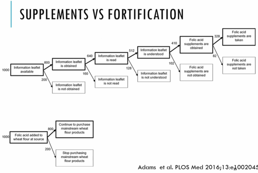 <p>supplementaion vs fortification</p>