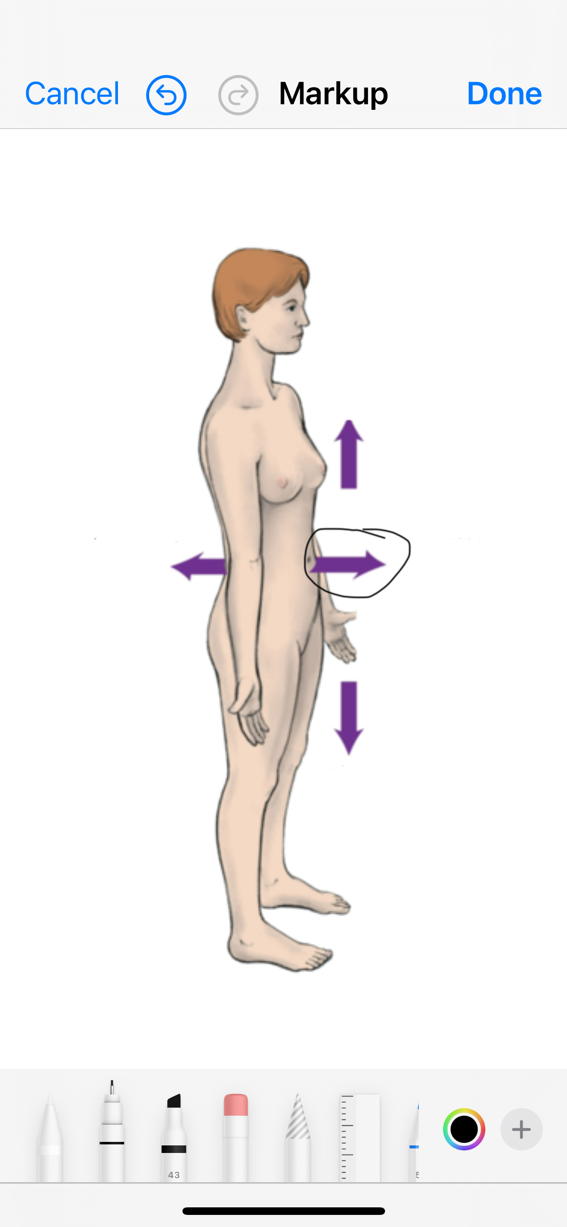 <p>Name the arrow </p>