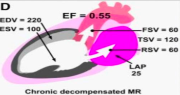 <p>what is this?</p>