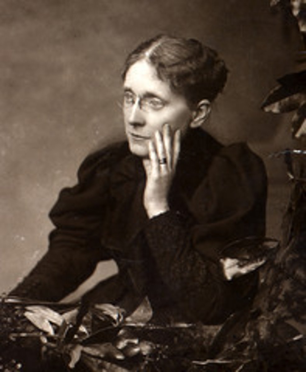 <p>Became leader of the WCTU. She worked to educate people about the evils of alcohol. She urged laws banning the sale of liquor.</p>