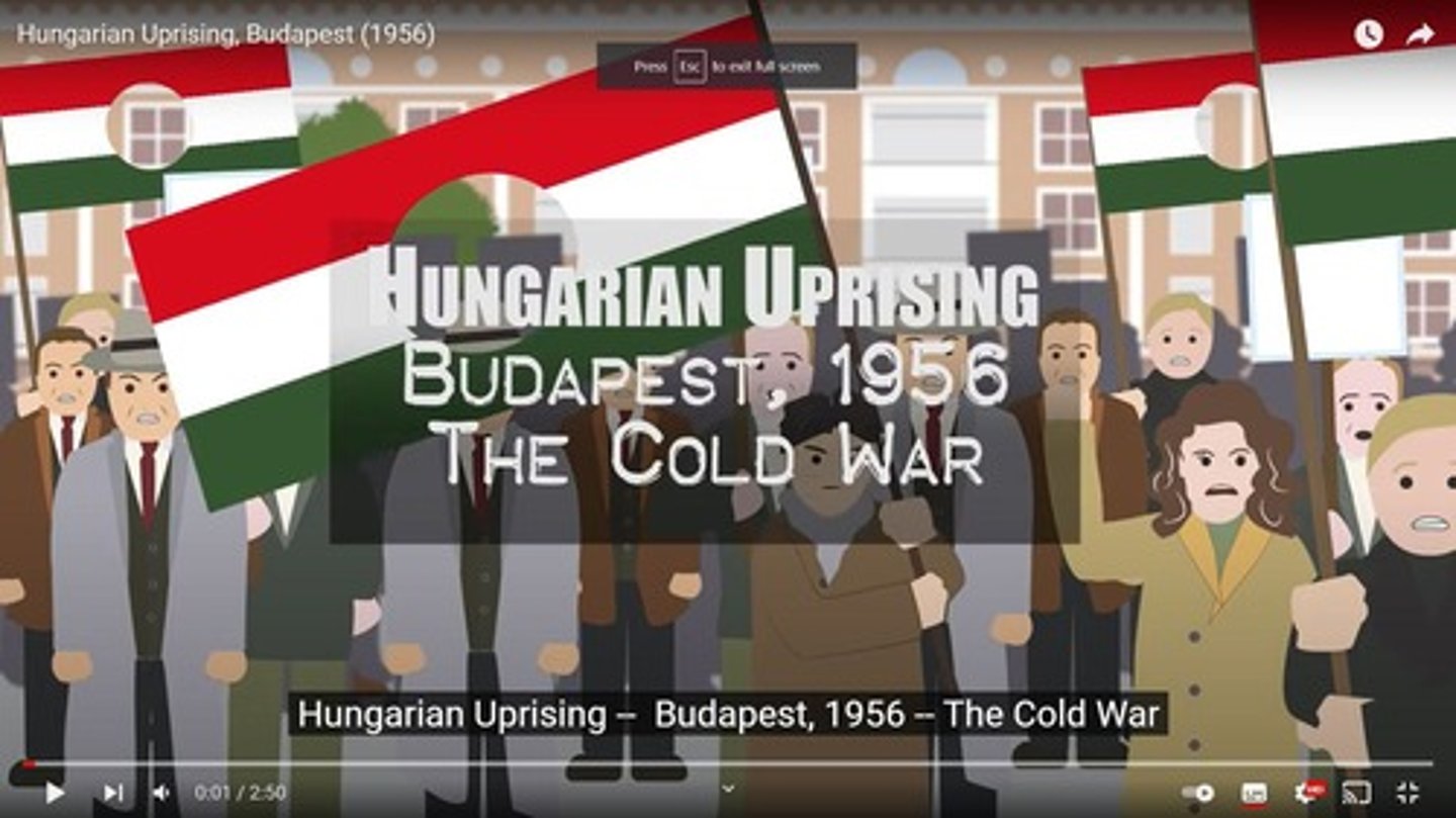 <p>The Hungarian Revolution, a nationwide uprising against the Soviet-backed government.</p>