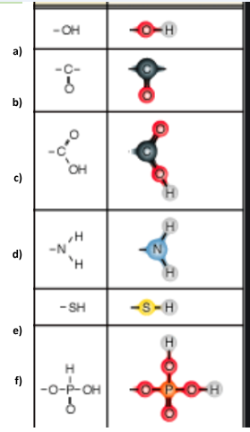<p>Identify functional group d</p>