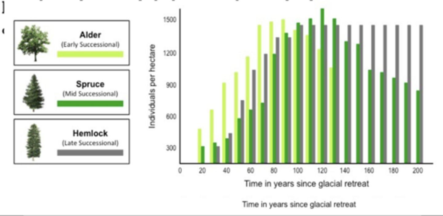 <p>As you can see in the graph after glacial retreat we can see the number of spruce trees goes up in the earlier stages, but then declines. This indicates that spruce trees are middle successional species because as late ones appear. These later species shades them out which kills them off slowly because they need sun to survive.</p>