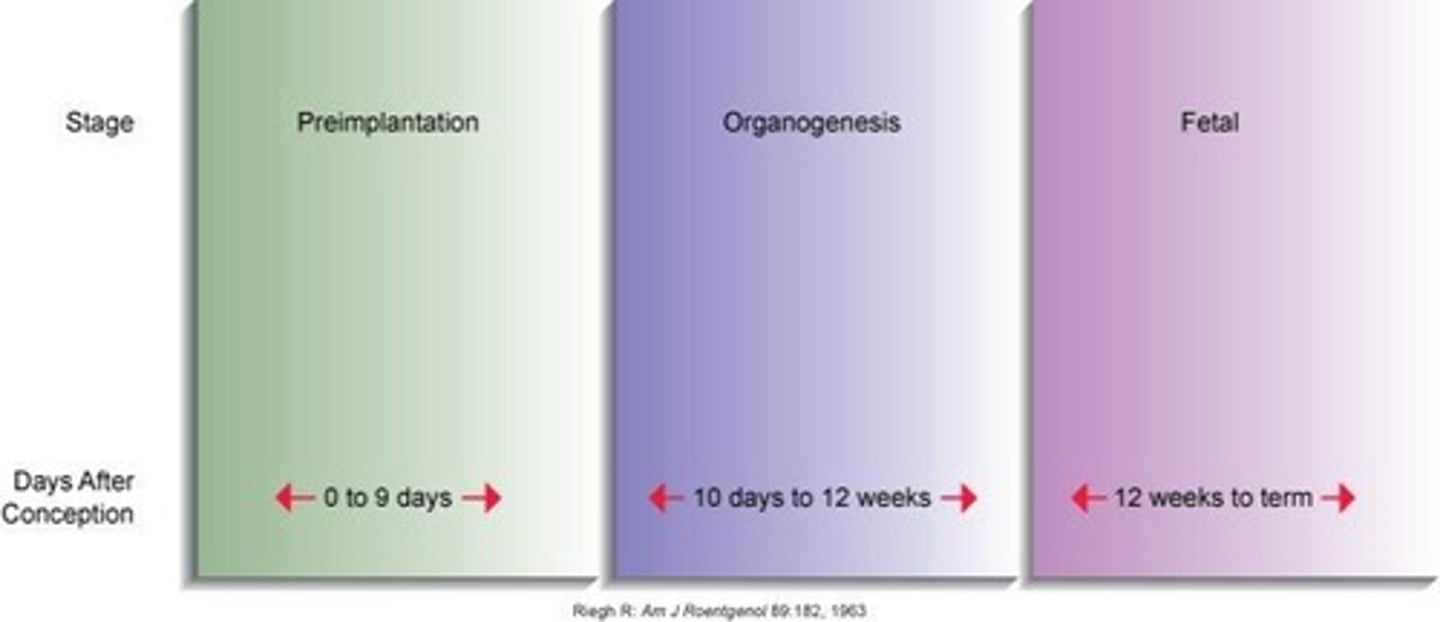 <p>Preimplantation (0-9 days), Organogenesis (10 days to 12 weeks), Fetal stage (12 weeks to term).</p>
