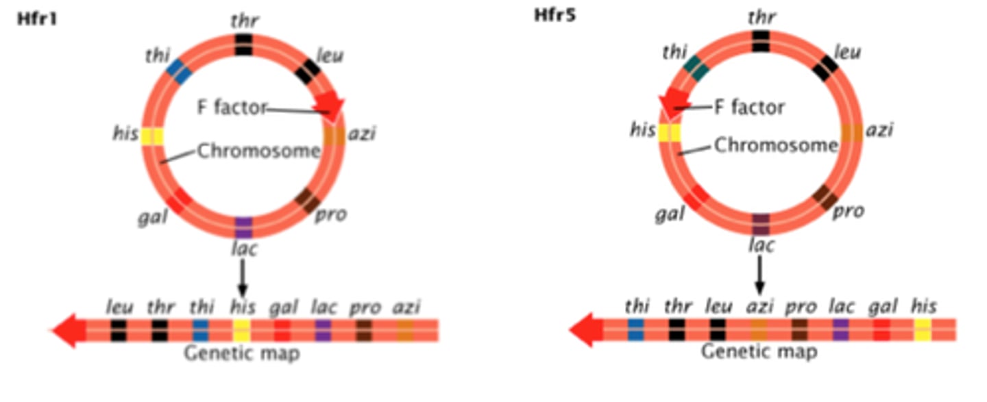 <p>Repeat with a mismatch / interruption; Two or more adjacent simple repeats</p>