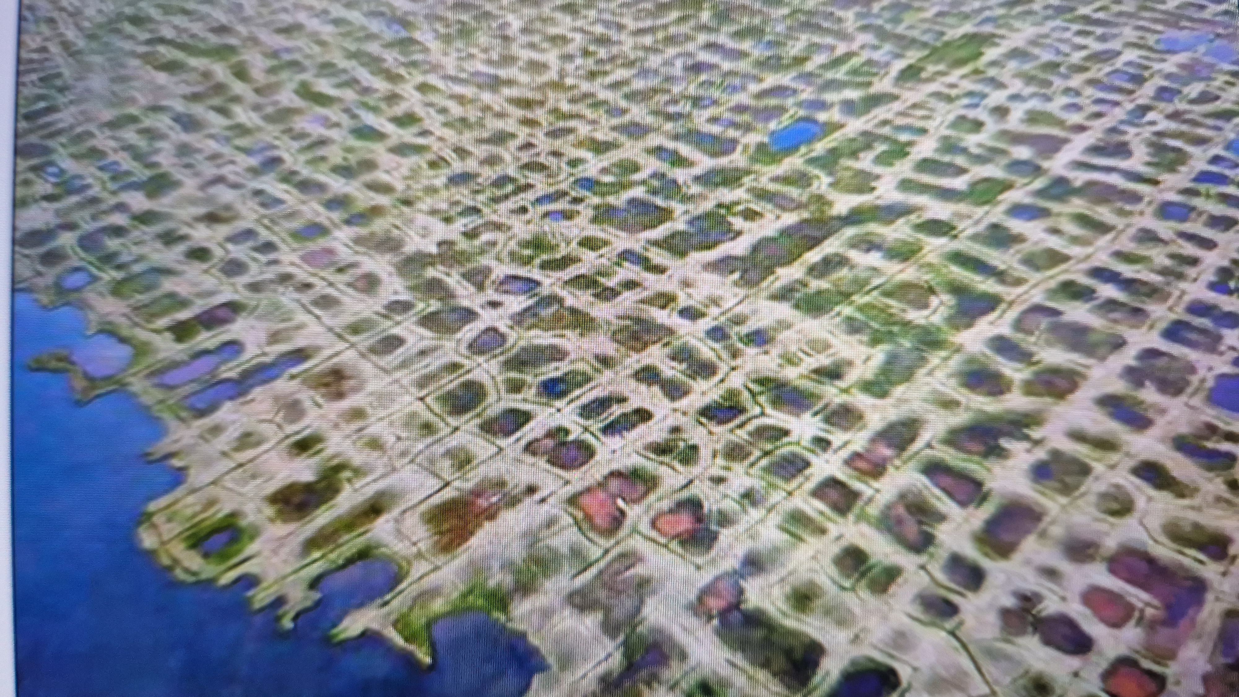 <p>Orthogonale Kontraktionsrisse?</p>