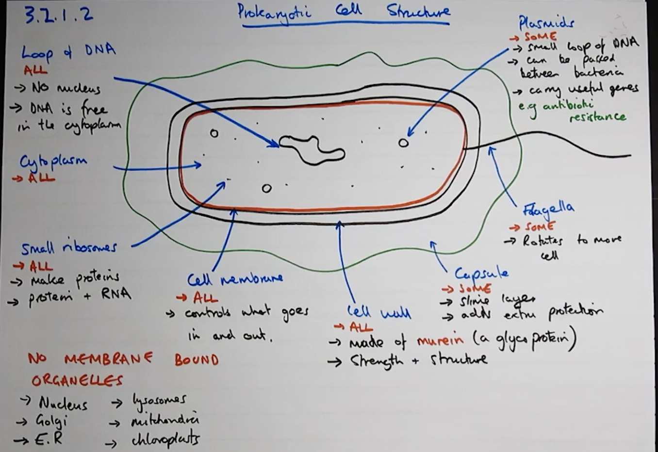 knowt flashcard image