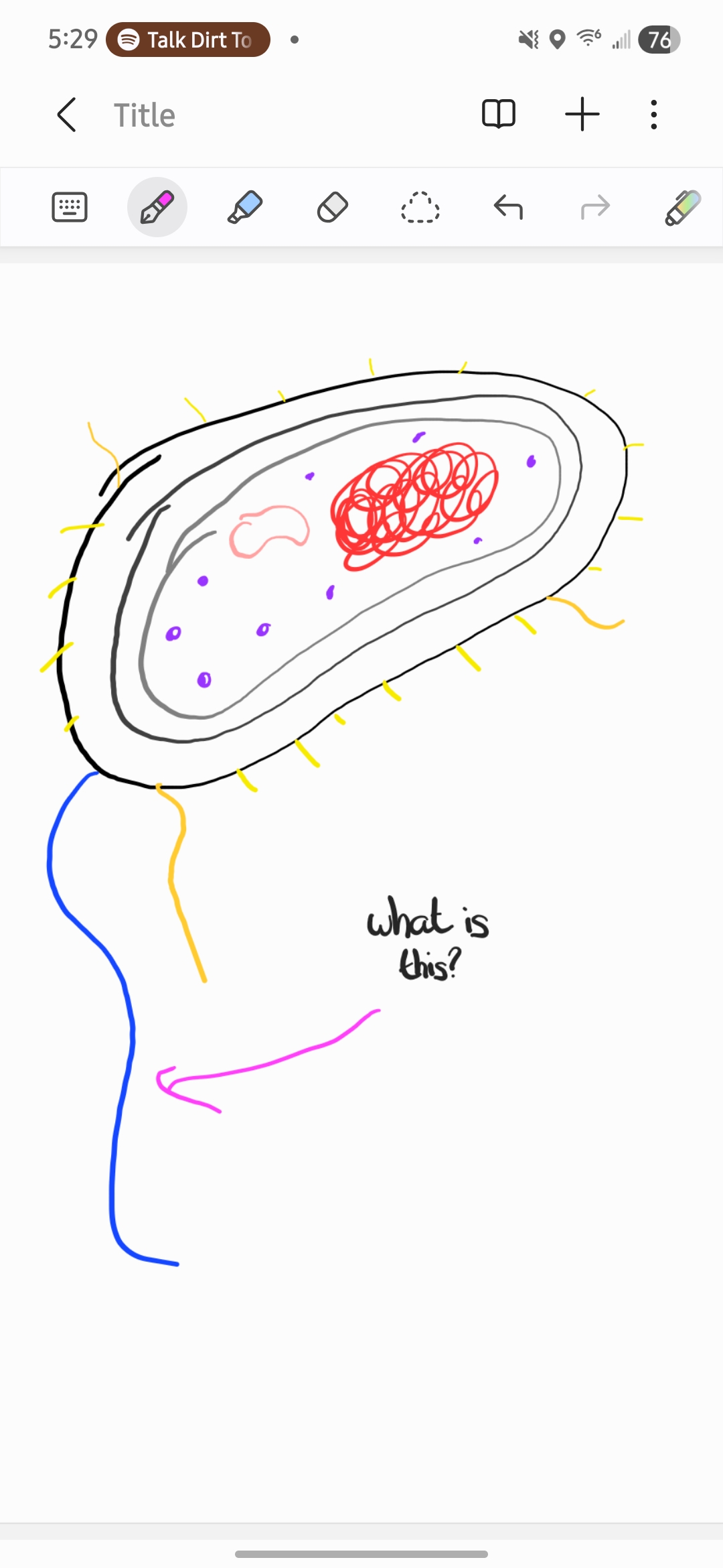 <p>What is this?</p>