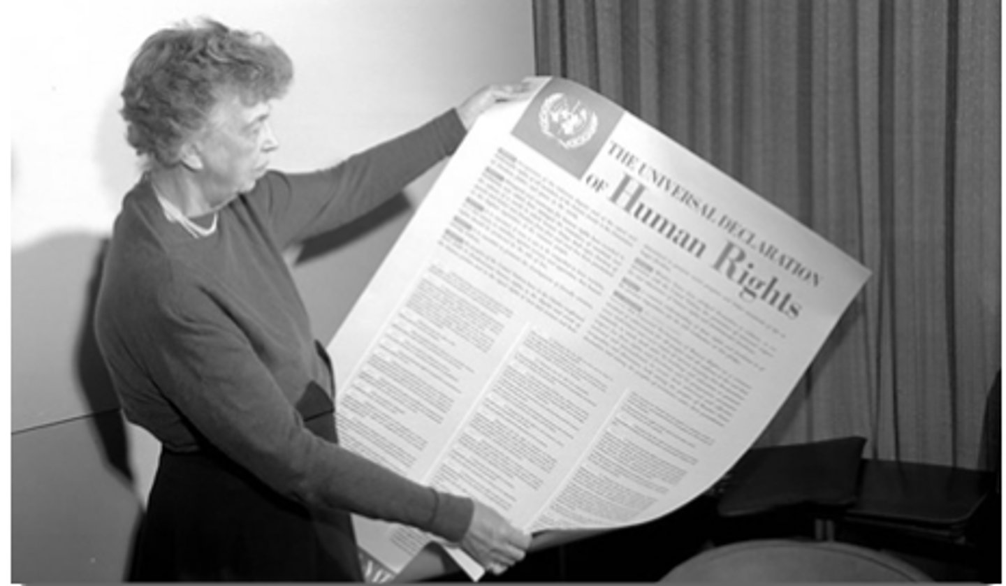 <p>a declaration adopted by the United Nations General Assembly and represents the first global expression of rights to which all human beings are inherently entitled</p>