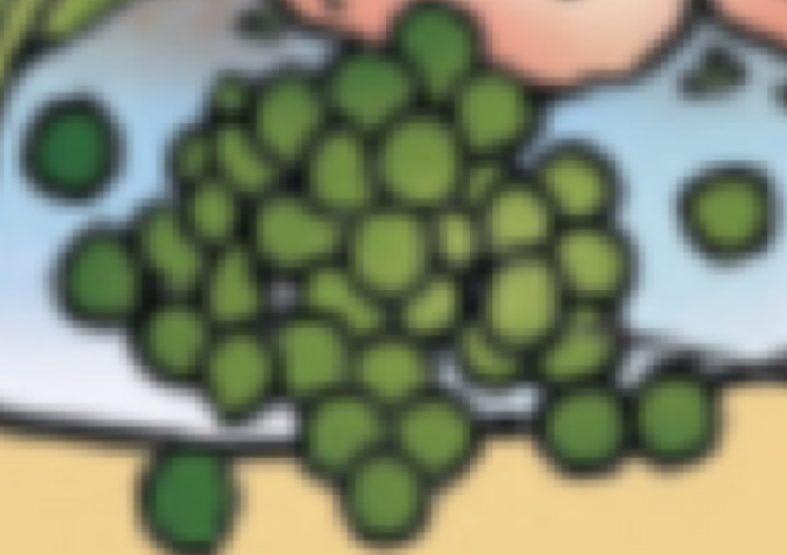term image