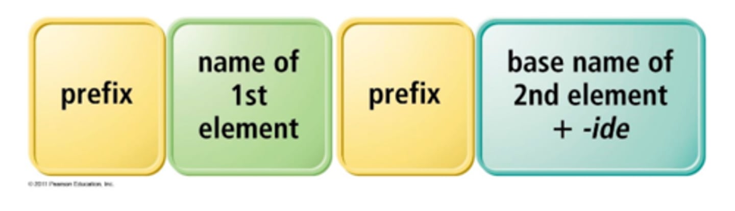 <p>(never use mon- for the first element) (drop last a if name begins with a vowel</p>