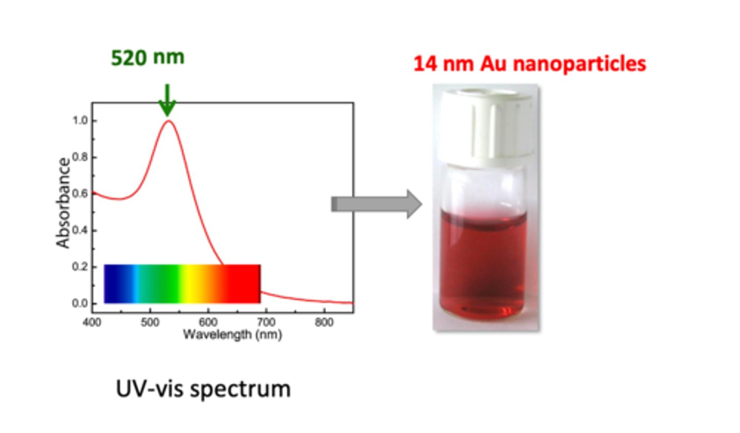 <p>Below: Y axis shows absorbance, X axis shows wavelength with light visible to the eye:</p><p>1. diagram spectrum shows 520 nm being the strongest absorbance for gold nanoparticles</p><p>2. when white light is passed through 14 nm Au sample, all of the green photons will be absorbed (520 nm is on the green wavelength) --&gt; what is left is red colour in the solution</p><p>3. from the diagram, gold absorbance decreases dramatically after 520 nm (about 0.1 after 650 nm) --&gt; this means all other colours will be absorbed except red --&gt; dispersion looks red in colour</p>