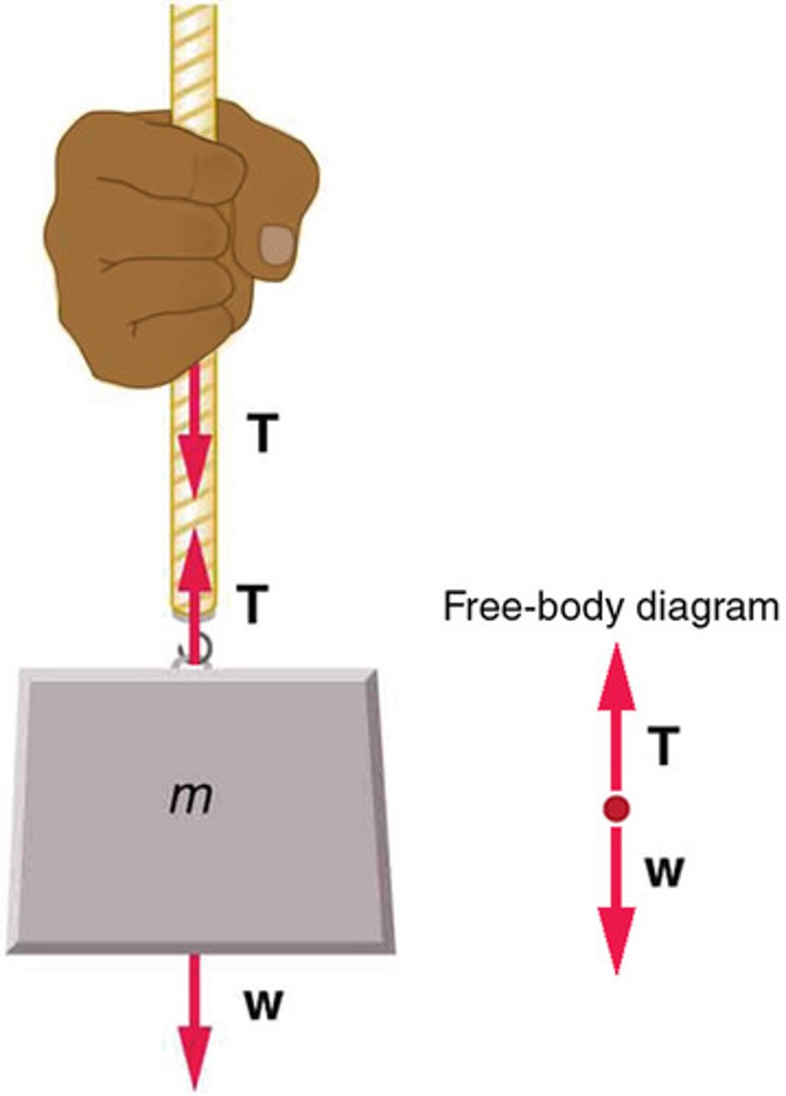 <p>A force carried by a flexible medium, such as a rope or cable, acting along the length of the medium and pulling outward at its ends.</p>