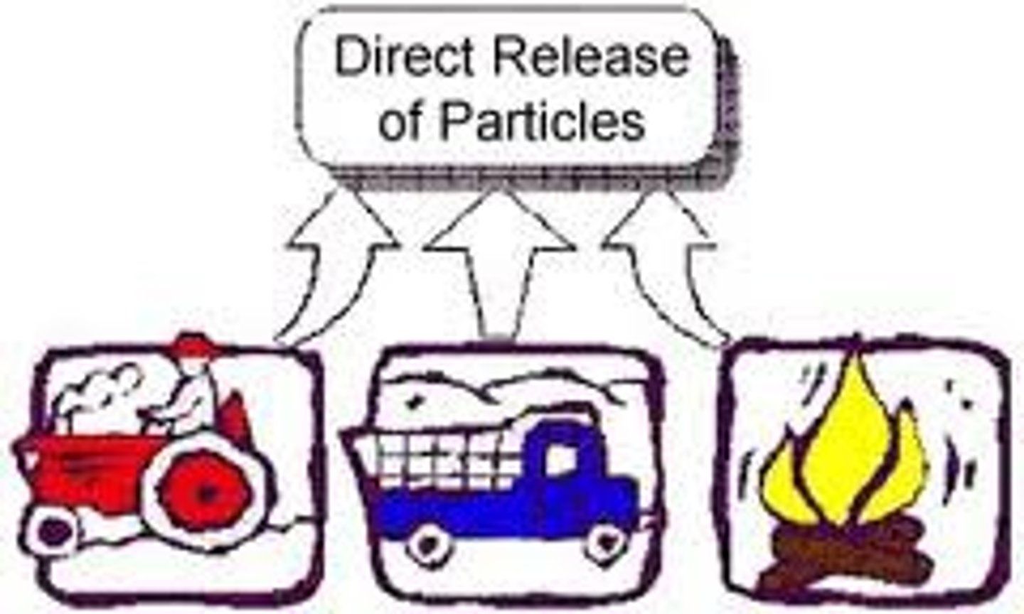 <p>Small particles found in the air, such as dust, soil, soot, smoke, mold, and droplets of liquid. Can cause lung disease and even heart attacks.</p>