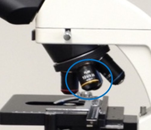 Calculate total magnification when using the circled objective lens