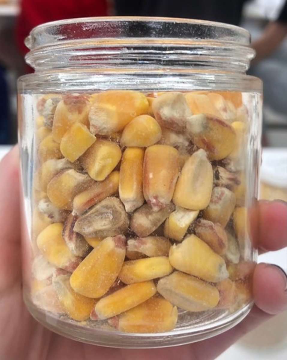 <p>- IFN #/Category (4) high energy concentrate</p><p>- AAFCO Category - grain product</p><p>- Feed Type - general</p>