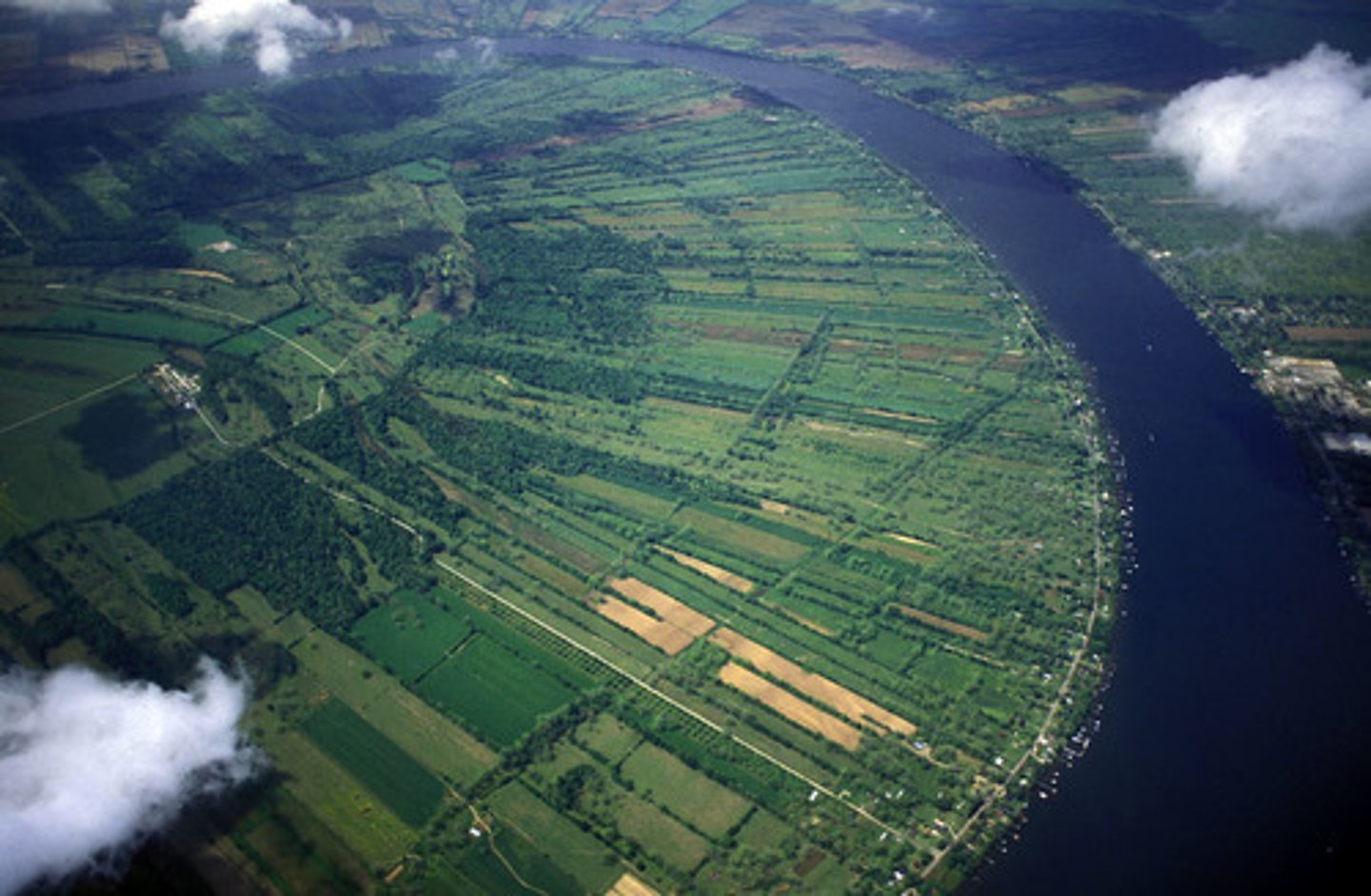 <p>system that divided land into narrow parcels stretching back from rivers,roads, or canals French influence</p>