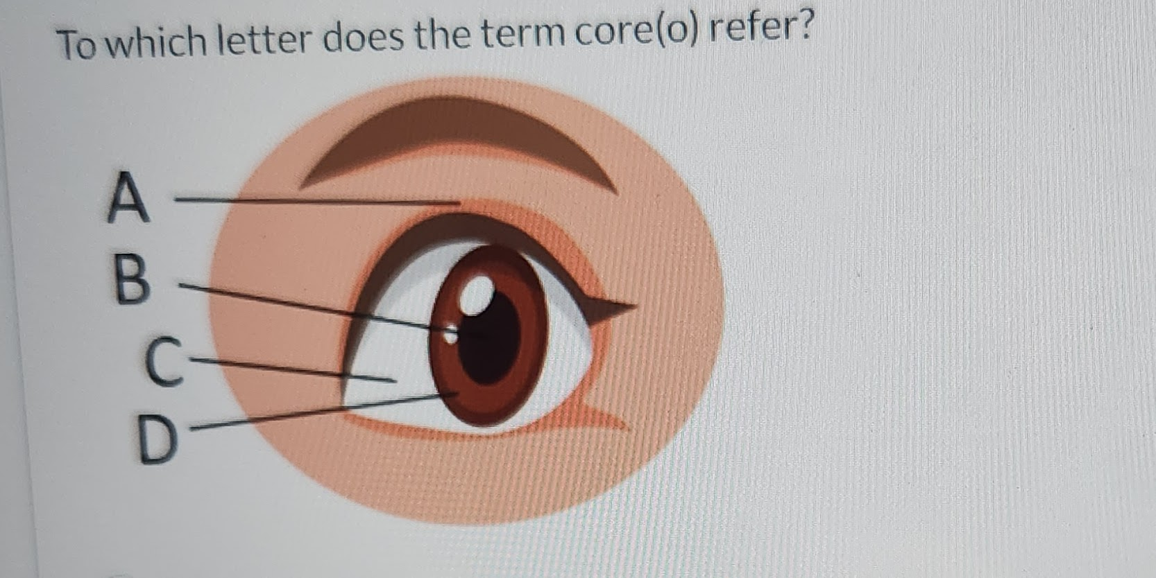 <p>to which letter does the term core(e) refer?</p>