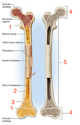 <p>what is #2</p>