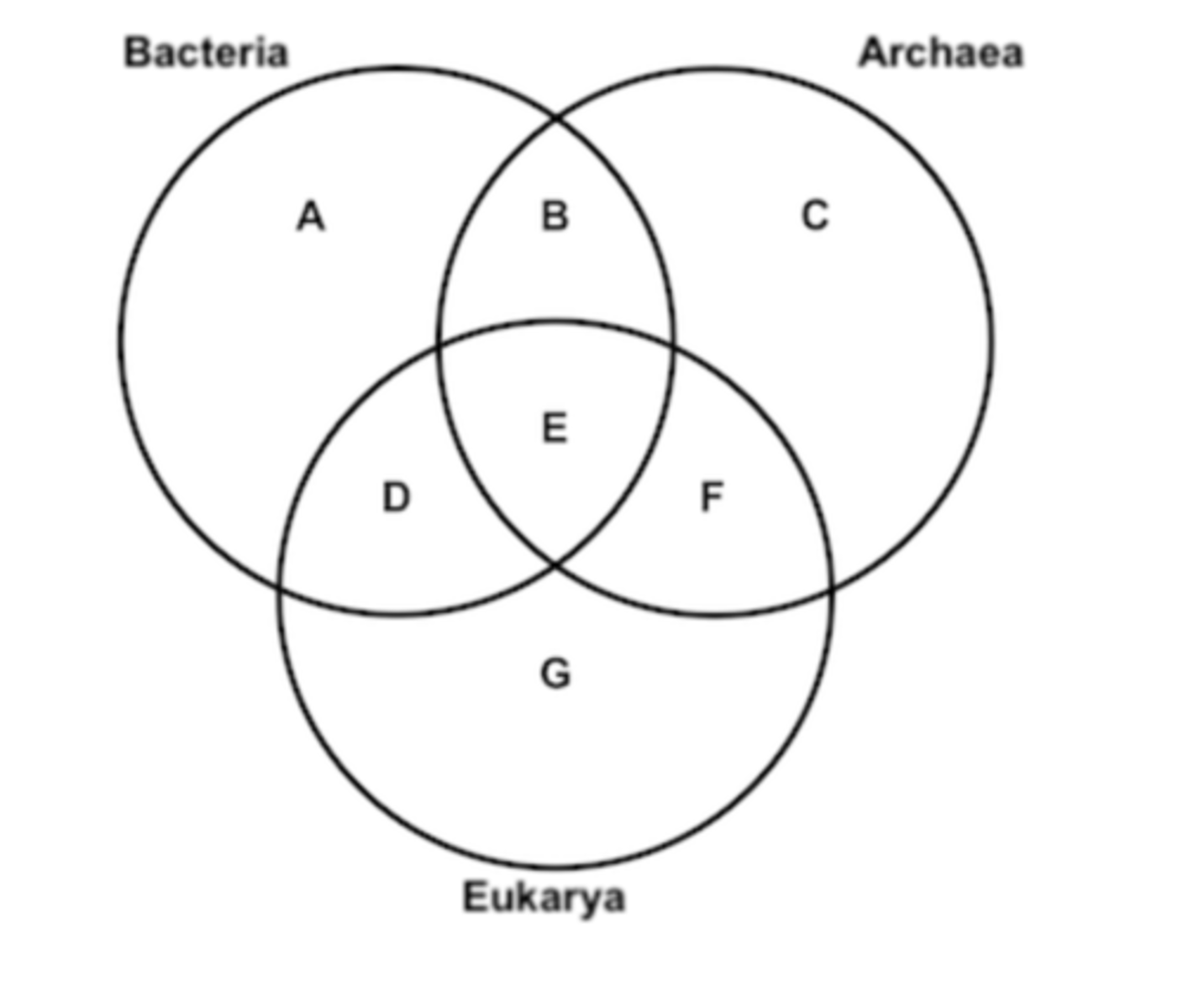 <p>Eukaryote AND multicellular - G</p>
