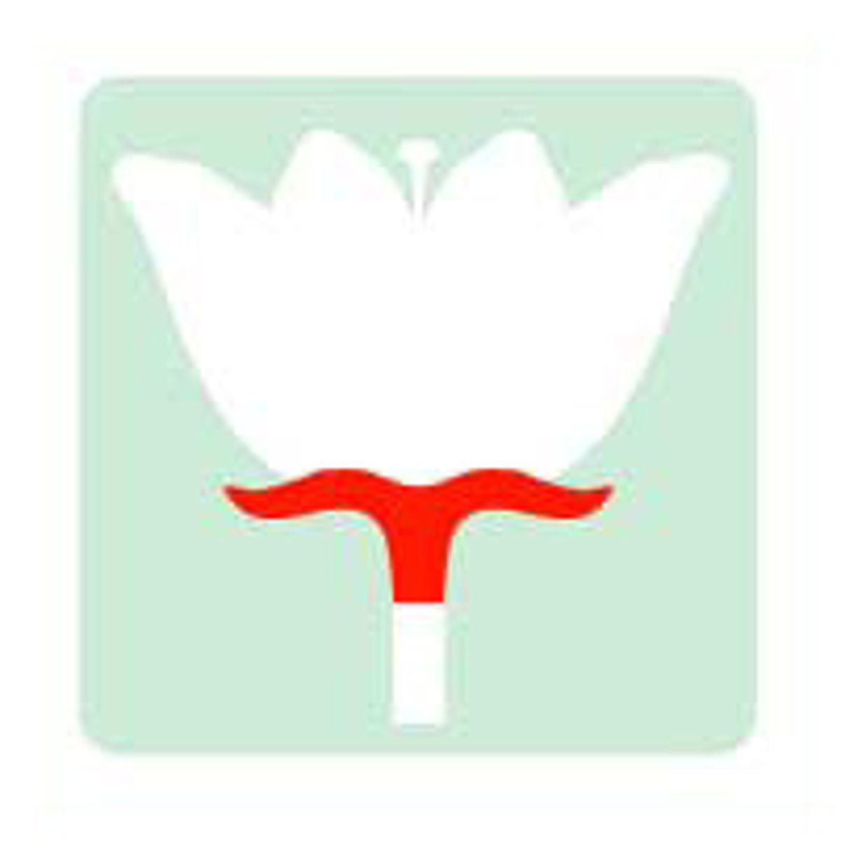 <p>usually green leaves that enclose a flower bud</p>