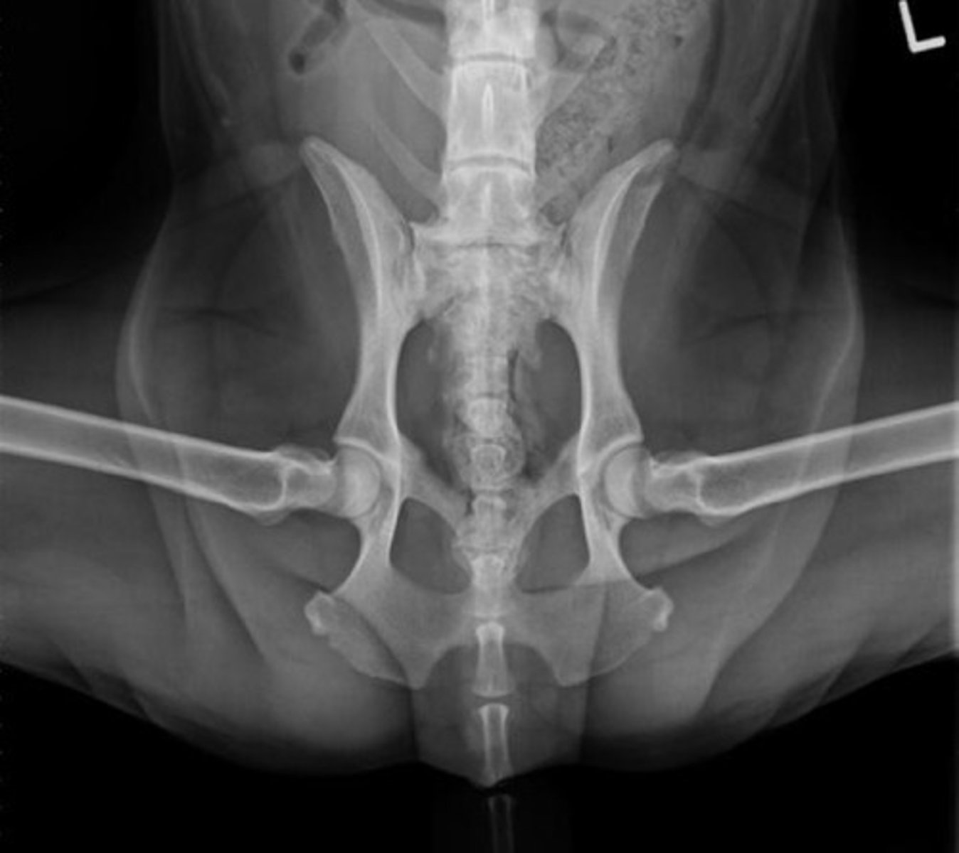 <p>What position is this?</p>
