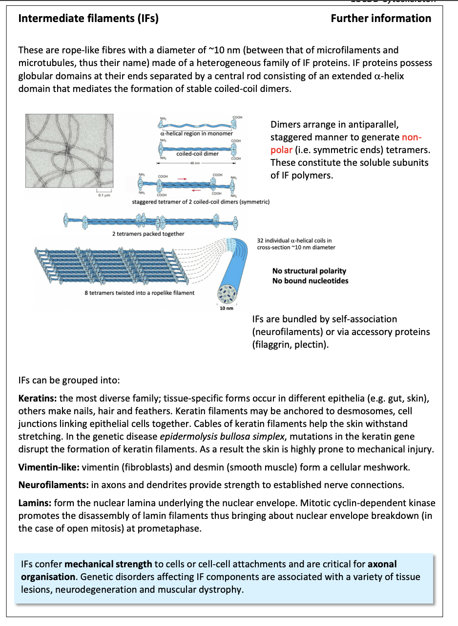 <ul><li><p>further info</p></li></ul><p></p>