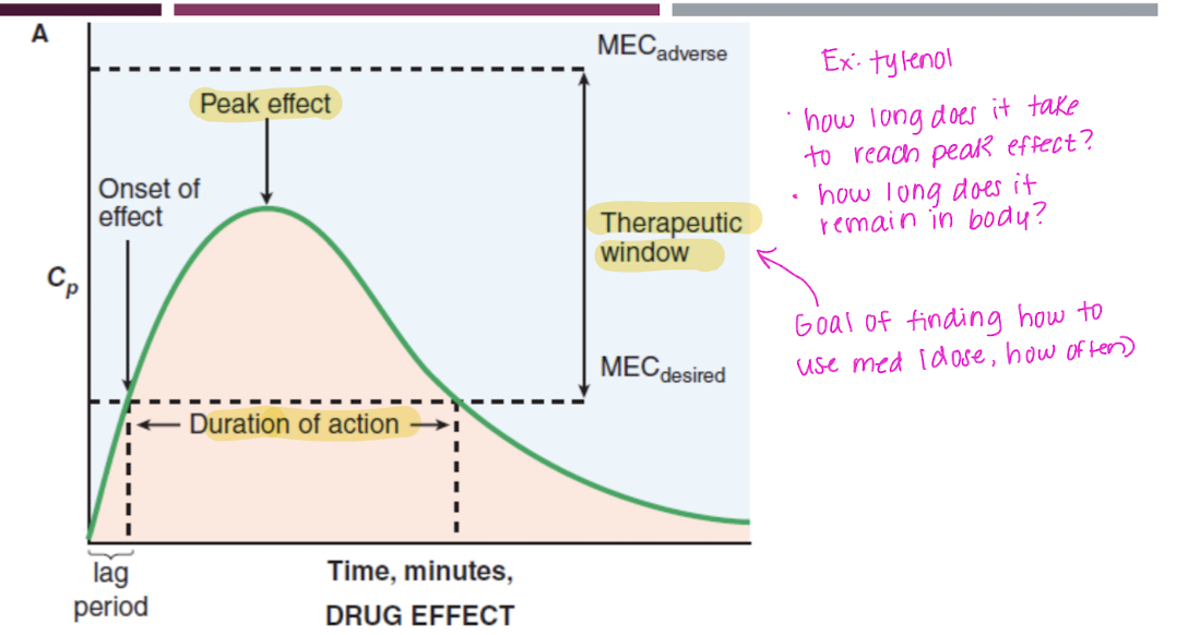 <p>Therapeutic index: A ratio that compares the toxic dose of a drug to its effective dose; numerical estimate of safety</p><p>Therapeutic window: the actual <strong>range of drug concentrations in the blood</strong> that gives efficacy <strong>without unacceptable toxicity; </strong>practical range used in patients</p>