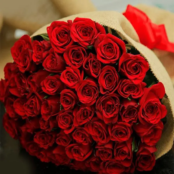 <p>حمر (hamrr) </p>