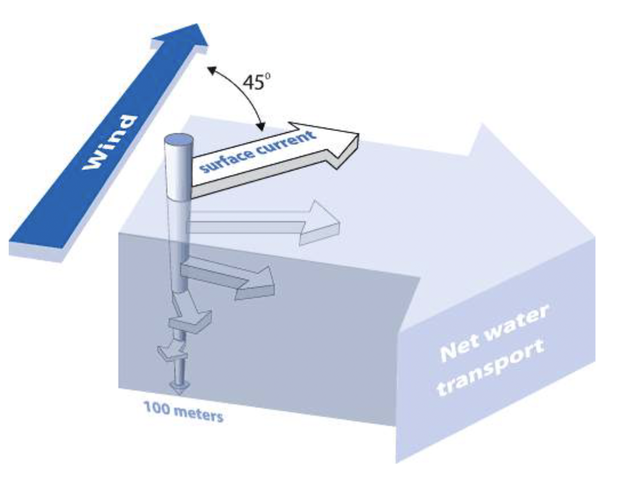 <p>The net motion of water (down to about 100m) due to the blanace between:</p><ol><li><p>The Coriolis effect </p></li><li><p>Turbulent drag forces within surface waters and geographic features (shoreline and seabed)</p></li></ol>