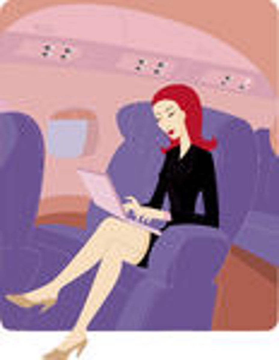 <p>the passenger</p>